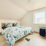 Arisa Ii Holiday home Hasselfelde